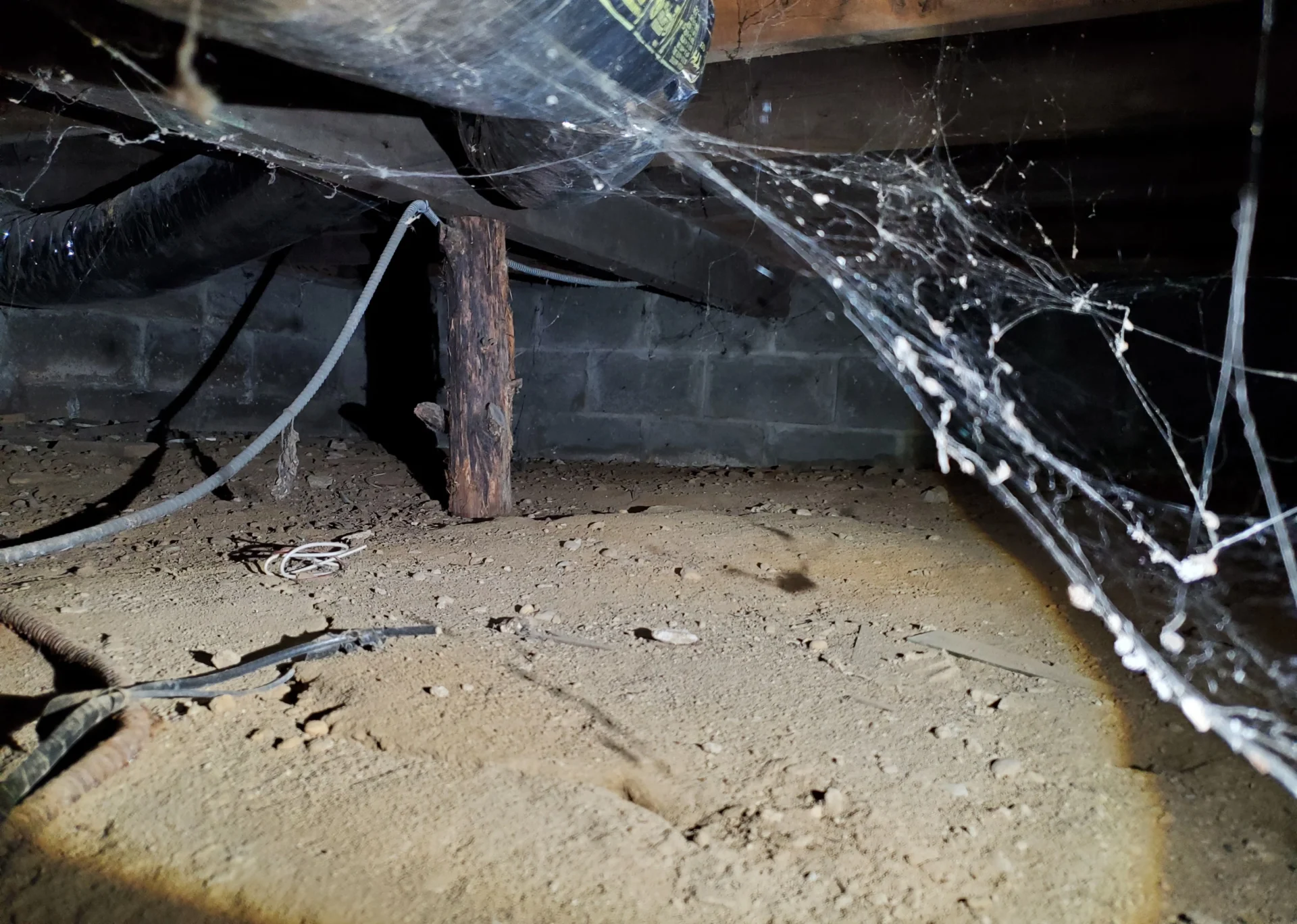 A spider web in the middle of an unfinished floor.